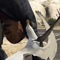 Put Me Down