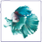 Betta Fisch APK