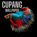 Betta Fish Wallpaper