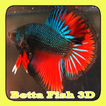 Betta Fish 3D