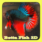 Betta Fish 3D icône