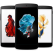 Betta Fish Wallpapers icon