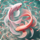 APK Sfondo di Pesce Betta