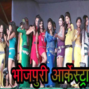 Bhojpuri Arkestra Video Stage Dance Show APK