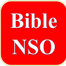 Igbo Bible (Bible Nso) APK