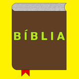 Bíblia Renascer-icoon