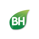 BigHaat ícone