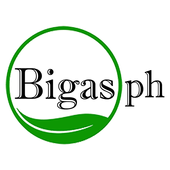 BigasPh icon