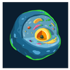 Biology Trivia APK