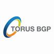 Torus BGP Mobilise ícone