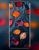 OnePlus 13 Wallpaper & 13R скриншот 3
