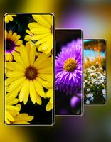 Realme 10 Pro Plus Wallpaper скриншот 1