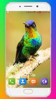 Bird Wallpaper اسکرین شاٹ 1