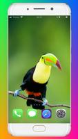 Bird Wallpaper imagem de tela 3