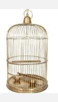 Cage à oiseaux capture d'écran 2