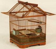 Bird Cage Design Ideas ポスター
