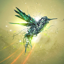 Bird Live Wallpaper APK
