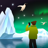 Bird Seeker Antarctica