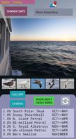 Bird Seeker Antarctica تصوير الشاشة 2