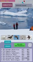 Bird Seeker Antarctica تصوير الشاشة 3