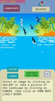 Bird Seeker Maldives постер