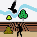 Bird Seeker España