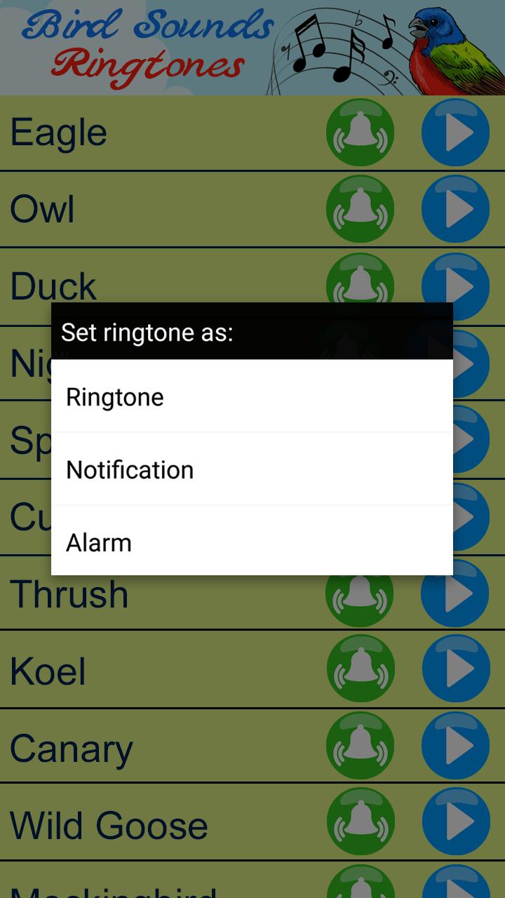 Bird Sounds for Android - APK Download