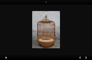 Birdcage idea 截圖 2