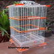 Modèle de cage à oiseaux