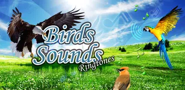 Birds Sounds Ringtone