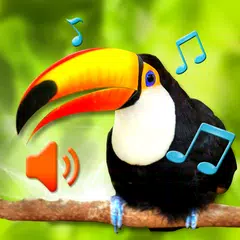 Birds Sounds Ringtone XAPK download