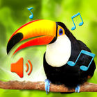 Birds Sounds أيقونة