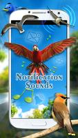 Birds Sounds تصوير الشاشة 1