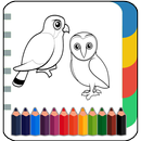 Birds Coloring & Drawing Book- APK