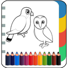 Birds Coloring & Drawing Book- Zeichen