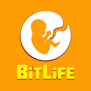 APK BitLife Simulator