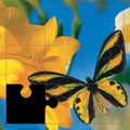 Extraordinary World Puzzles