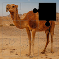 Fantastic Animals Puzzles