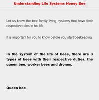 cultivo de abelha imagem de tela 3