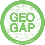 GeoGap APK