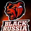 Black Russia RP Helper