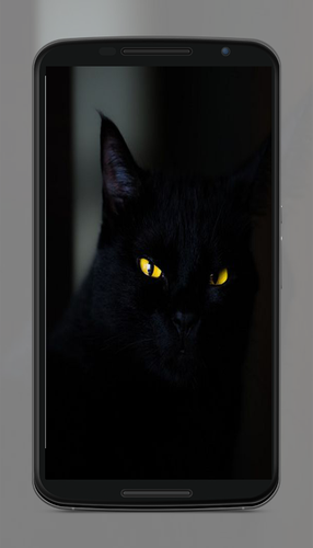 無料で 黒の壁紙 アプリの最新版 Apk2 3をダウンロードー Android用 黒の壁紙 Apk の最新バージョンをダウンロード Apkfab Com Jp