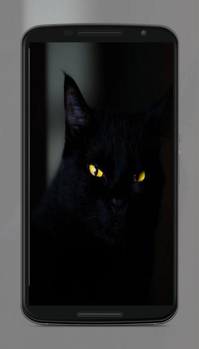 Android 用の 黒の壁紙 Apk をダウンロード