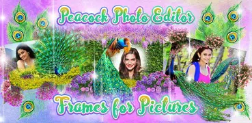 Peacock Photo Editor Frames
