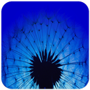 Blue Wallpaper HD APK