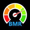 BMR Calculator for Weight Loss