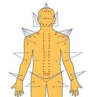 Ponto de Reflexologia Corporal imagem de tela 3