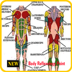 Body Reflexology Point ไอคอน