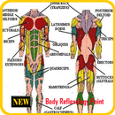 Body Reflexology Point APK