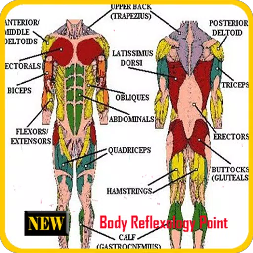 Full Body Reflexology Chart